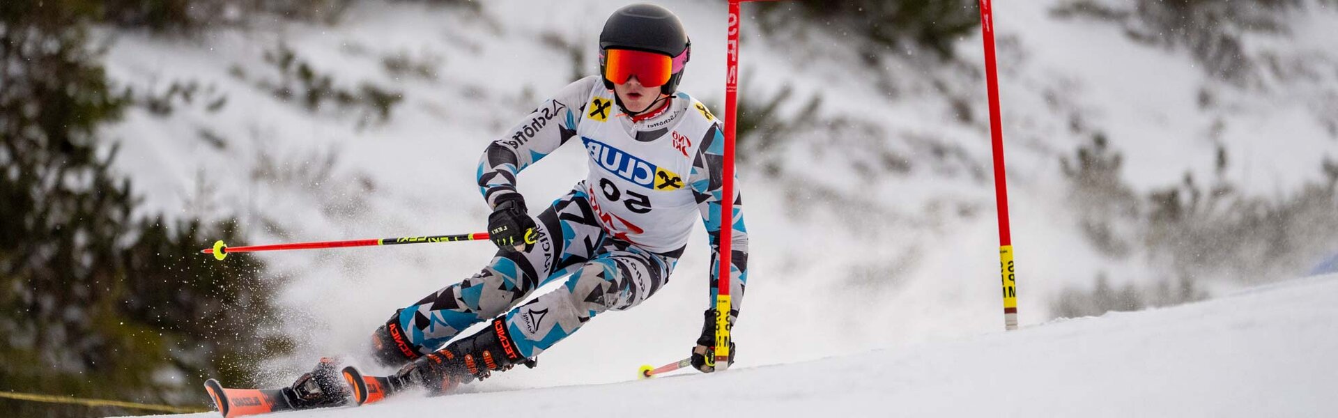 Rennläufer passiert Riesentorlauf-Tor | © Albert Reiter